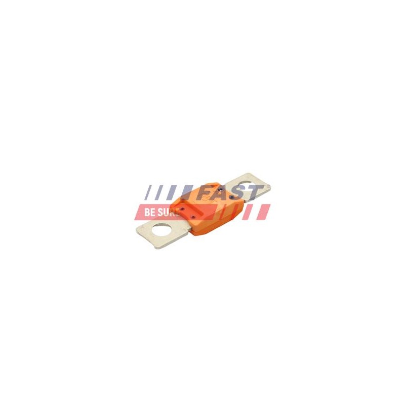 FUSIBLE POUR IVECO DAILY 06