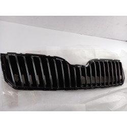 Pièce pour VAG - Radiator Grille 3T0853668C9B9