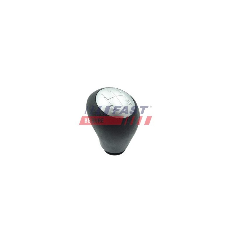 POMMEAU DE LEVIER DE VITESSE POUR RENAULT LAGUNA II 01