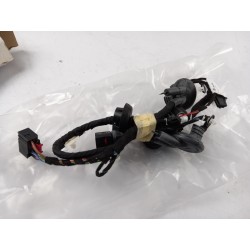 Pièce pour VAG - Cable Harness, Door 4F1971687AG