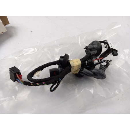 Pièce pour VAG - Cable Harness, Door 4F1971687AG