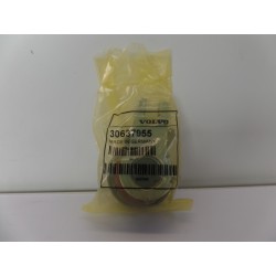 Pièce pour VOLVO - Belt Tensioner/Pulley 30637955