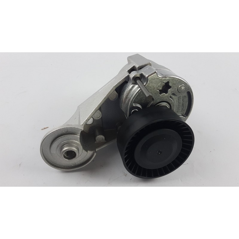 Pièce pour VOLVO - Belt Tensioner/Pulley 31251252