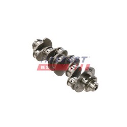 VILEBREQUIN (MOTEUR) POUR FIAT DUCATO 06