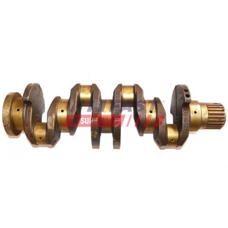 VILEBREQUIN (MOTEUR) POUR IVECO DAILY 00
