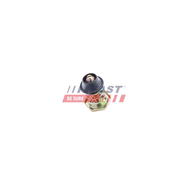 SERRURE DE CAPOT MOTEUR POUR IVECO DAILY 00