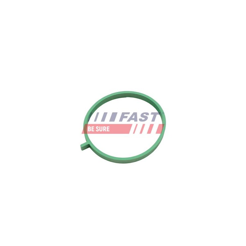 JOINT D`ÉTANCHÉITÉ, COLLECTEUR D`ADMISSION POUR FIAT DOBLO 09