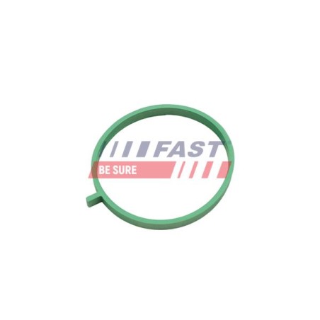 JOINT D`ÉTANCHÉITÉ, COLLECTEUR D`ADMISSION POUR FIAT DOBLO 09