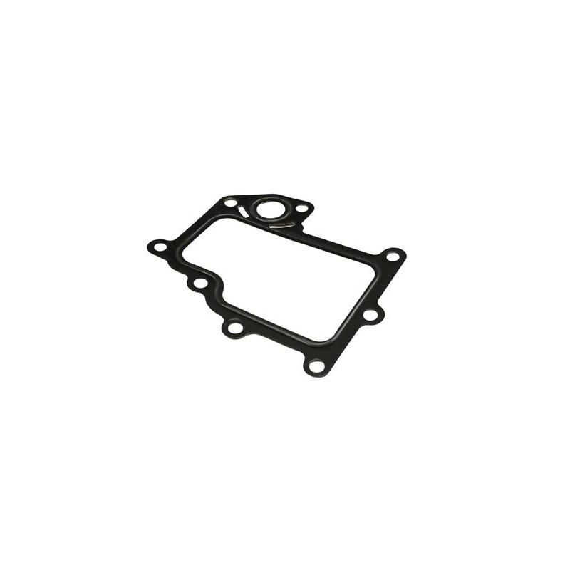 JOINT, VANNE EGR POUR IVECO DAILY 06