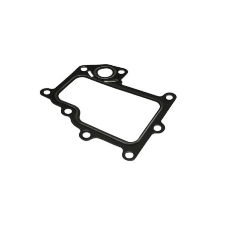 JOINT, VANNE EGR POUR IVECO DAILY 06