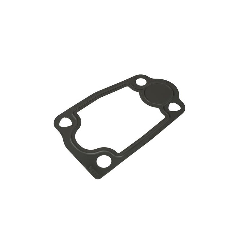 JOINT D`ÉTANCHÉITÉ, THERMOSTAT POUR IVECO DAILY 06