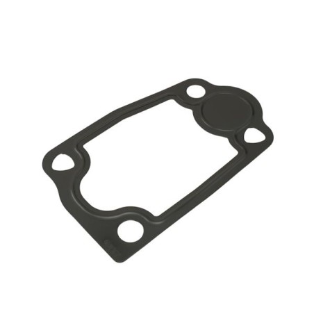 JOINT D`ÉTANCHÉITÉ, THERMOSTAT POUR IVECO DAILY 06