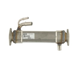 MODULE-EGR POUR FIAT DUCATO 06