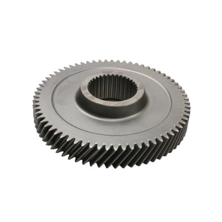 PIGNON BOÎTE DE VITESSE POUR FIAT DUCATO 06