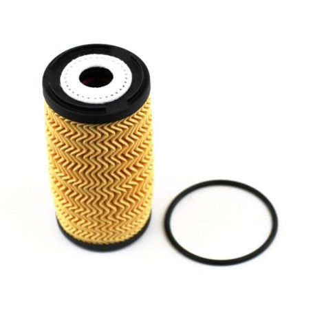 FILTRE À HUILE POUR RENAULT MASTER III 10