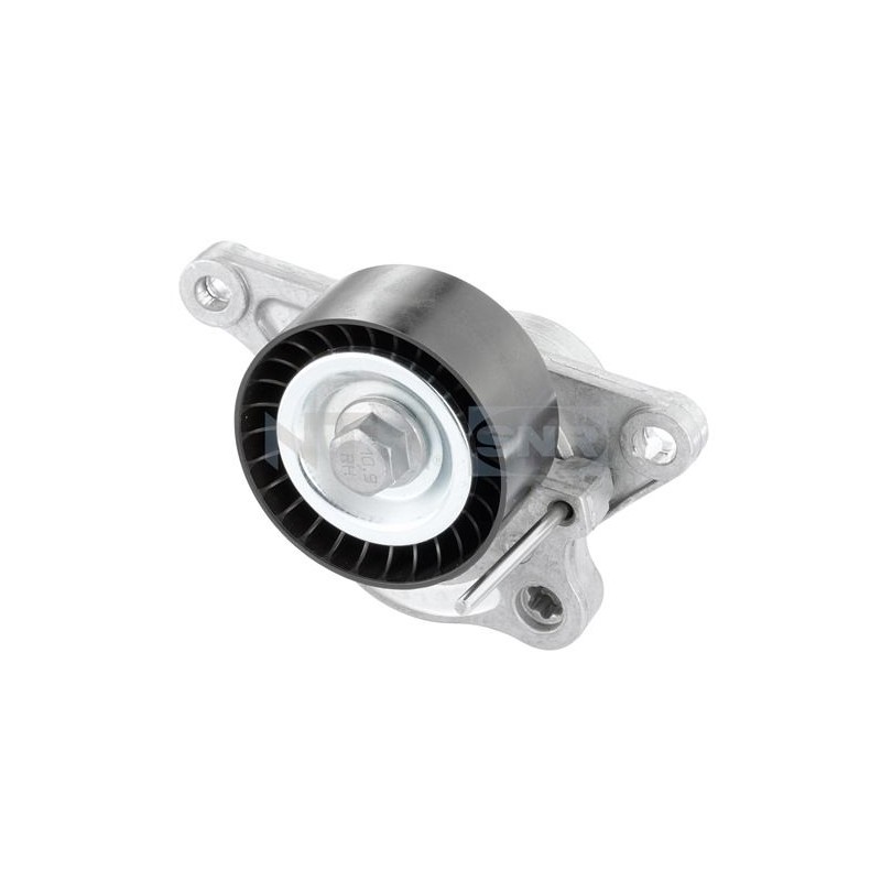 TENDEUR DE COURROIE TRAPÉZOÏDALE À NERVURES POUR RENAULT MASTER III 10