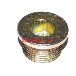 VIS-BOUCHON, CARTER D`HUILE POUR FIAT DUCATO 02
