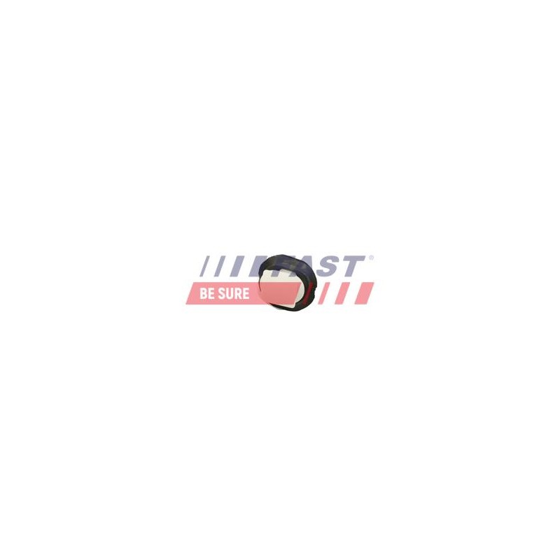 CLIP DE FIXATION MOULAGE POUR FIAT DUCATO 06
