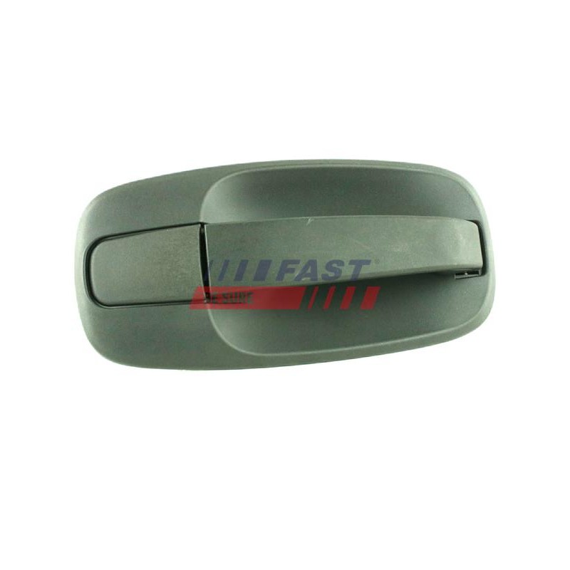 POIGNÉE EXTÉRIEURE DE PORTE POUR RENAULT TRAFIC 01