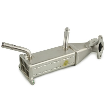 MODULE-EGR POUR CITROEN JUMPER 06