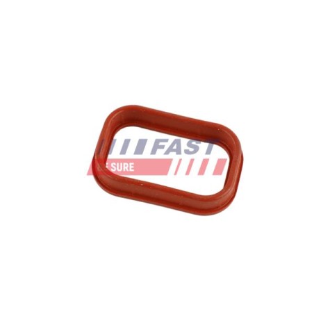 JOINT D`ÉTANCHÉITÉ, COLLECTEUR D`ADMISSION POUR FIAT DUCATO 06