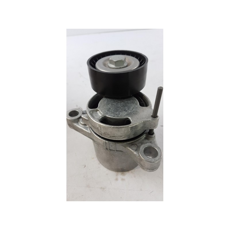 Pièce pour BMW - Belt Tensioner/Pulley 11287619248