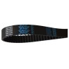 COURROIE DE DISTRIBUTION POUR ALFA 147 /156 00