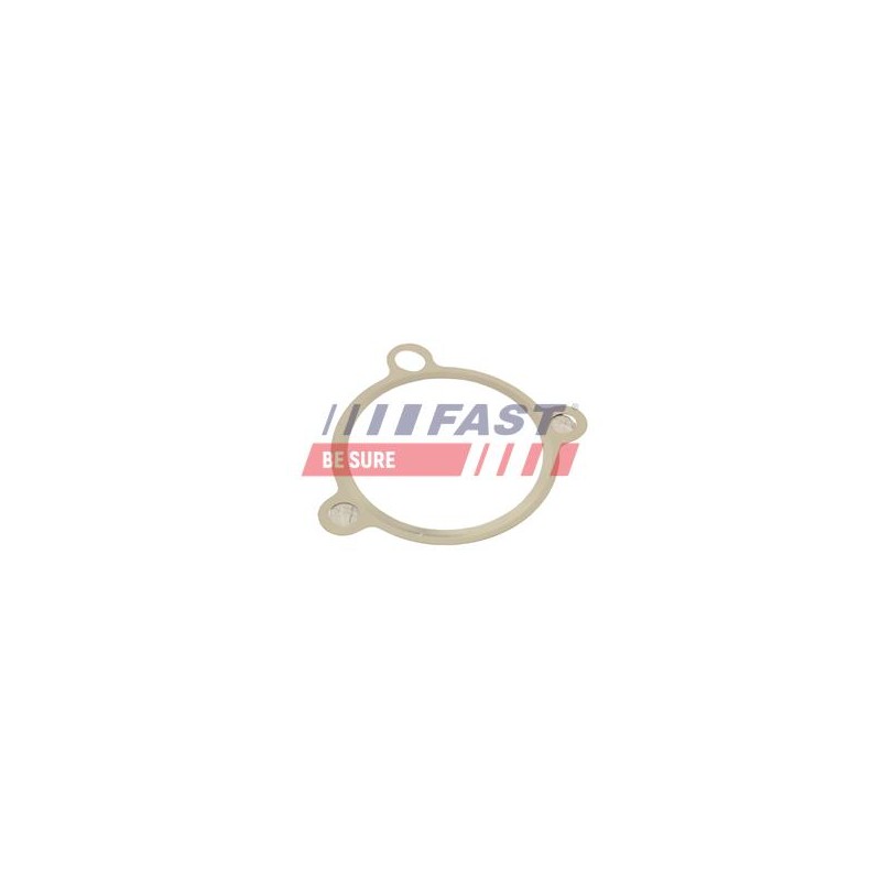 JOINT, VANNE EGR POUR RENAULT TRAFIC 01