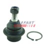 ROTULE DE SUSPENSION POUR FORD TRANSIT 06