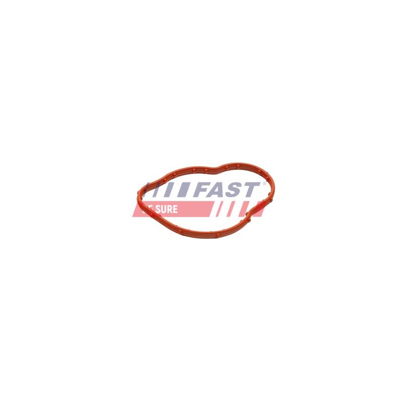 JOINT D`ÉTANCHÉITÉ, THERMOSTAT POUR RENAULT KANGOO II 08