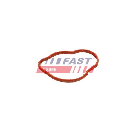 JOINT D`ÉTANCHÉITÉ, THERMOSTAT POUR RENAULT KANGOO II 08