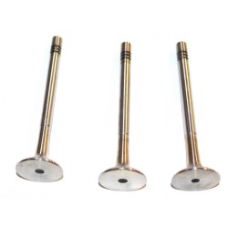SOUPAPE MOTEUR POUR FIAT BRAVA/BRAVO 95