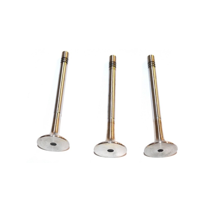 SOUPAPE MOTEUR POUR FIAT BRAVA/BRAVO 95
