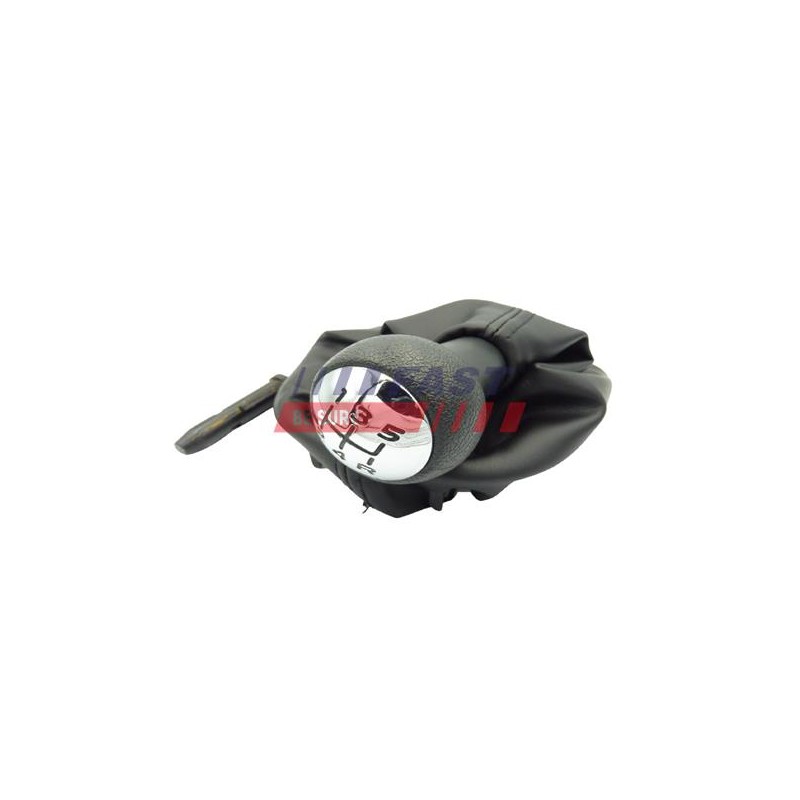 POMMEAU DE LEVIER DE VITESSE POUR PEUGEOT 307 00