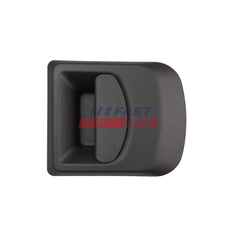 POIGNÉE EXTÉRIEURE DE PORTE POUR IVECO DAILY 00