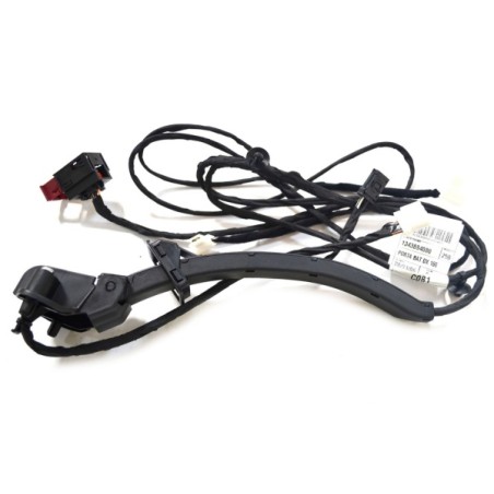 FAISEAU CÂBLES PORTE POUR FIAT DUCATO 06