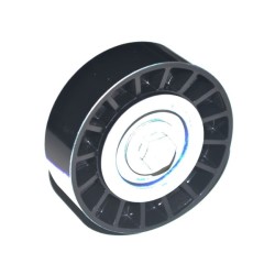 TENDEUR DE COURROIE TRAPÉZOÏDALE À NERVURES POUR FIAT DUCATO 06