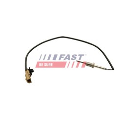 PTEUR, TEMPÉRATURE DES GAZ POUR RENAULT KANGOO II 08