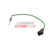 PTEUR, TEMPÉRATURE DES GAZ POUR FORD TRANSIT CONNECT 13