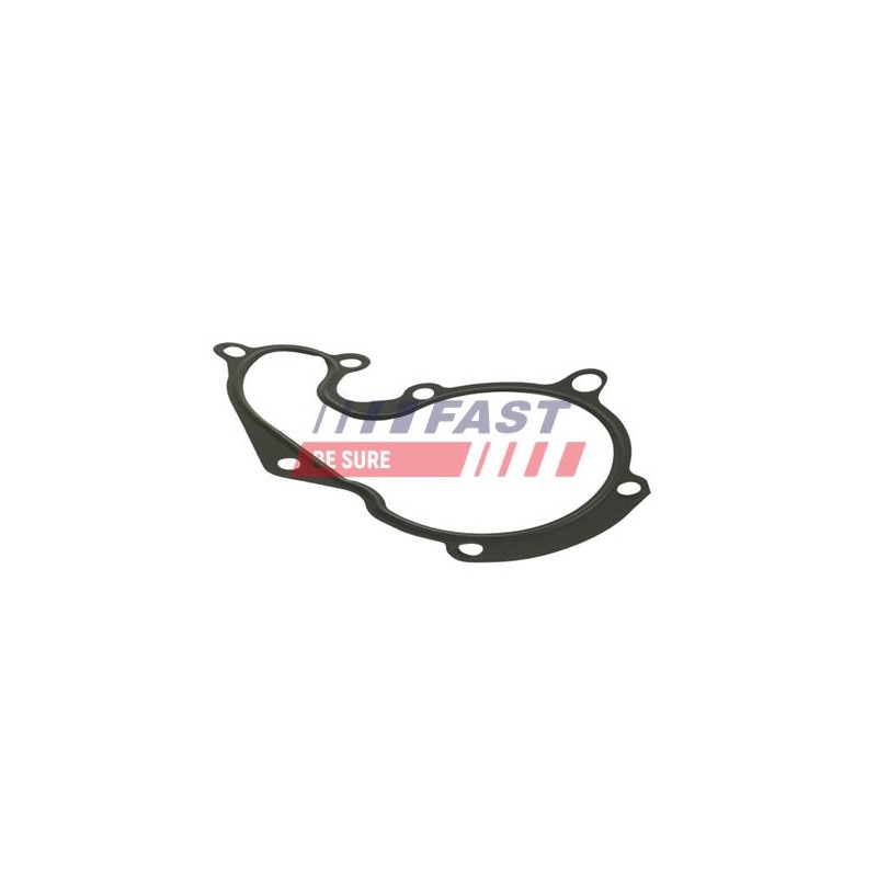 JOINT D`ÉTANCHÉITÉ, POMPE À EAU POUR FORD TRANSIT CONNECT 02