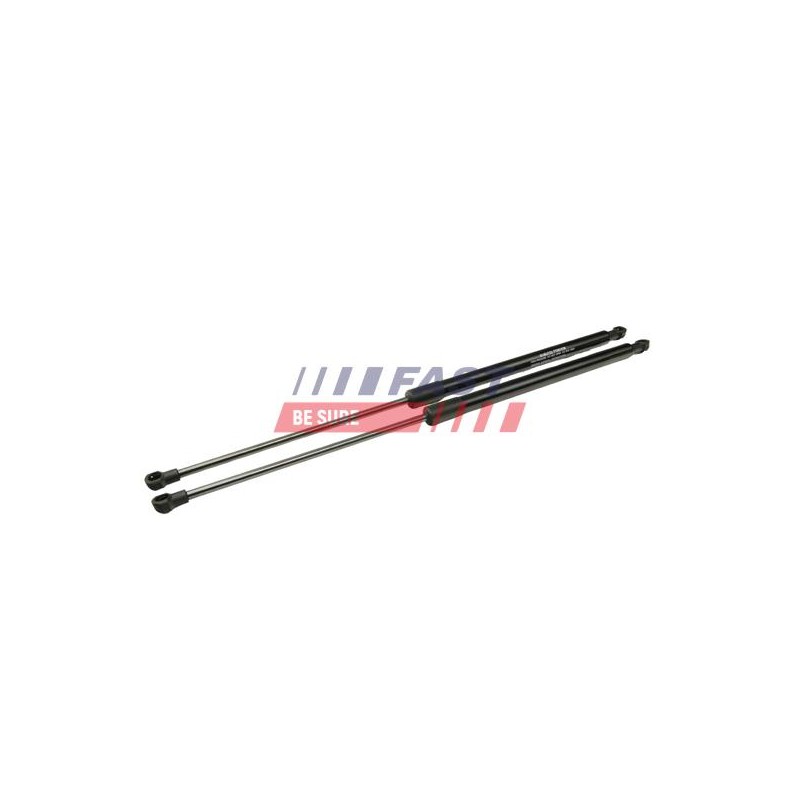 VÉRIN, PORTE PAPILLON POUR RENAULT SCENIC II 03