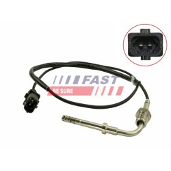 PTEUR, TEMPÉRATURE DES GAZ POUR FIAT DOBLO 00