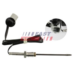 PTEUR, TEMPÉRATURE DES GAZ POUR RENAULT MASTER III 10