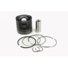 PISTON POUR FIAT DUCATO 02