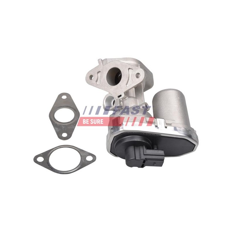 VANNE EGR POUR FIAT DUCATO 06