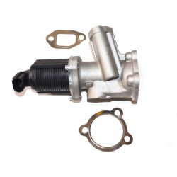 VANNE EGR POUR FIAT DOBLO 00