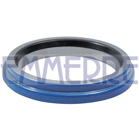 BAGUE D`ÉTANCHÉITÉ POUR RENAULT MAGNUM 05