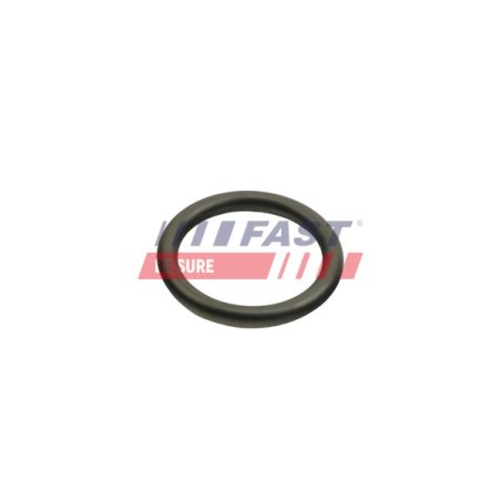 JOINT TORIQUE POUR FIAT DUCATO 06