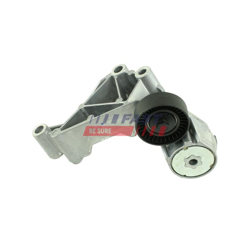 TENDEUR DE COURROIE TRAPÉZOÏDALE À NERVURES POUR FORD TRANSIT CONNECT 02