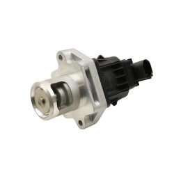 VANNE EGR POUR FIAT DOBLO 09